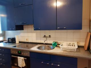 Luxurious Business or Family Apartment near Daimler and city center - 4