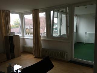 Luxurious Business or Family Apartment near Daimler and city center - 3