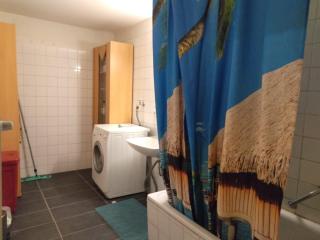 Luxurious Business or Family Apartment near Daimler and city center - 1