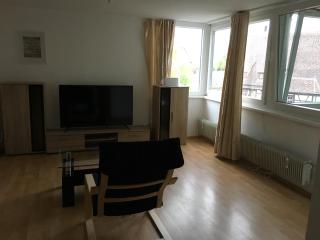 Luxurious Business or Family Apartment near Daimler and city center - 0