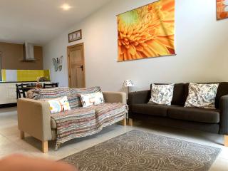 The Grape and Olive at Willunga - 3