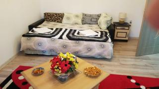 Florin Apartament - Sighişoara - 4