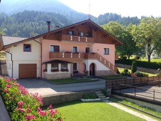 Casa Gabriella - Fiera di Primiero - 8