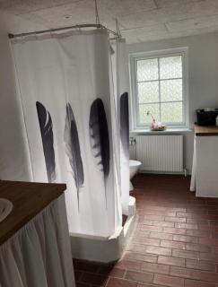 Ellemose Bed and Breakfast - Lemvig - 3