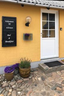 Ellemose Bed and Breakfast - Lemvig - 0