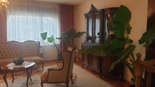 Kikinda peace oaza - 6