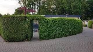 Modern, compleet en recreatief chalet 22-15 - Putten - 9