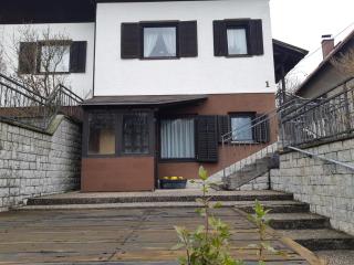 Apartman Ksenija Delnice - Delnice - 1