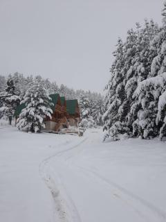 Paradise Zabljak - Žabljak - 3