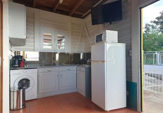 Le Palma Christi - 2