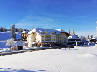 Blackforest Lounge direkt an der Skipiste, Ski in & Ski out, Skischule im Haus, Startpunkt für Wanderungen - 1