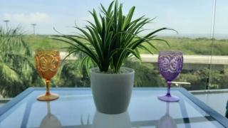 Apartamento en Cartagena primera linea de Playa Morros Epic - Cartagena das Índias - 5