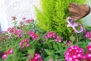 Schenna Garni Eden Bed & Breakfast - Schenna - 2