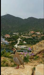 me gusta suite by the sea - Anavyssos - 2