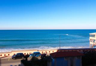Rif. B12 - DELFINO 2 - San Vincenzo - 3
