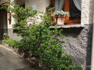 Casa Julio - Torla - 7