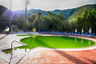 Grand Hotel Delle Terme - Terme Luigiane - 6