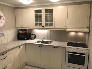 Notodden Sentrum Apartment NO 3 - Notodden - 7