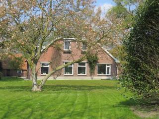 B&B Borgersteeg - Neede - 8