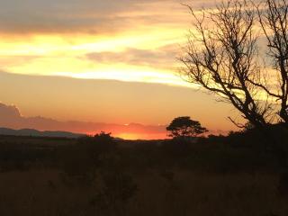 Shondoro Mountain Retreat - Vaalwater - 3