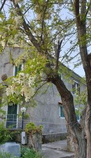 Borgo Antico Dog Friendly - 6