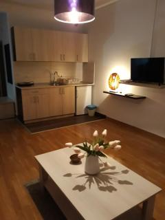 Dvori Apartments - 6