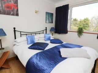 Blaenywawr Annexe - Cross Inn - 3
