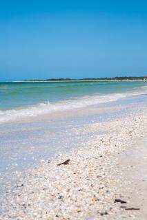 South Seas Tower 3 #1005 - Beachfront 2/2 Long Beach Views! - Marco Island - 9