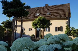 gleisberg3 - Südliche Weinstrasse - Billigheim-Ingenheim - 1