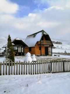 Brvnara Zlatiborka - Zlatibor - 7
