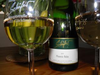 Weingut-Ferienhof Schäfer - Göcklingen - 8