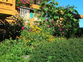 Ferienwohnung Dreer - 1