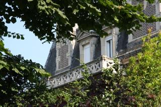 Villa Primerose - 3