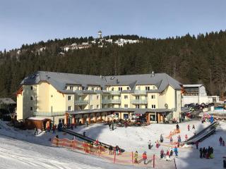Ferienwohnung Gipfelstürmer Feldberg - Ski in Ski out, Whirlpool & Infrarotkabine - Feldberg - 0