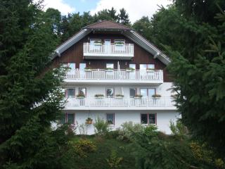 Ferienhaus Hubertus in Elend mit Balkons - Elend - 2