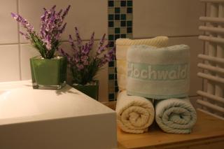 Hotel Hochwald - Bad Liebenzell - 4