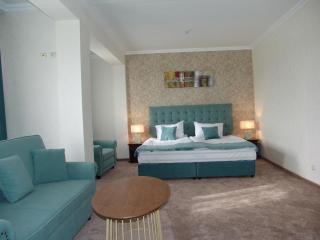Hotel Zheleznik - Stara Zagora - 5