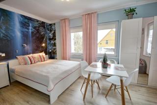 Apartament Gałązka Jabłoni - Duszniki Zdrój - 5