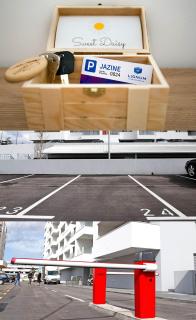 Apartment Sweet Daisy with parking - Zadar - 5
