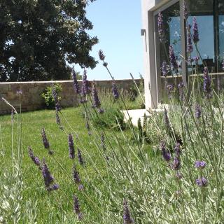Lidea Boutique Hotel - 2