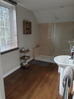 The Retreat - Redlynch - 1