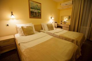 Hotel Srbija - Vršac - 9