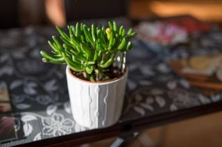 Komfortowy apartament - obok Rynku - 2