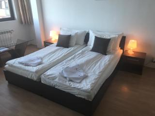 Flora Apartment 619 - Borovets - 5