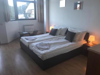 Flora Apartment 619 - Borovets - 9