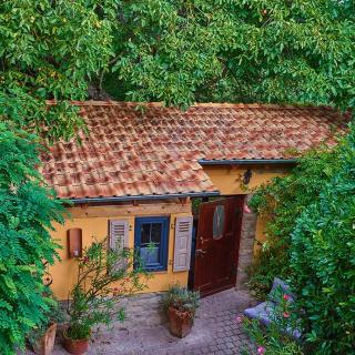 Biggi‘s Garten-Finca - Flonheim - 7