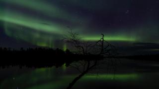 Lemmenjoki Camping EcoCabins - Lemmenjoki - 8