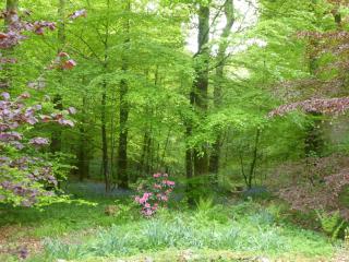 Low Jock Scar Country Estate - 4