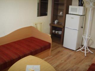 Chernobyl type rooms in a block flat house - 4