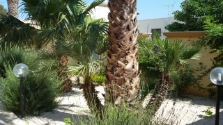 Sara Relax Home - Mazara del Vallo - 8